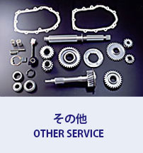 OTHER SERVICE
